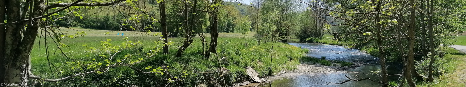 Maria Rummel Pilgern und Poesie - Unterwegs im Taubertal | Dekanat Neustadt/Aisch