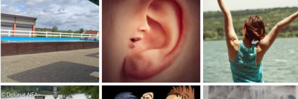 Verschiedene Fotos aneinandergereiht