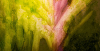 Verschiedene Grüntöne